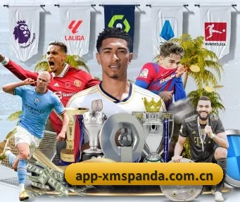 app-xmspanda.com.cn APP 界面